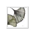 Picture of Ginko Leaves I _GroupedProduct_Square_Framed_Matted_