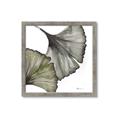 Picture of Ginko Leaves I _GroupedProduct_Square_Framed_Matted_