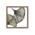 Picture of Ginko Leaves I _GroupedProduct_Square_Framed_Matted_