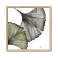 Picture of Ginko Leaves I _GroupedProduct_Square_Framed_Matted_