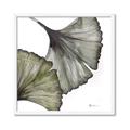 Picture of Ginko Leaves I _GroupedProduct_Square_Framed_Matted_