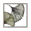 Picture of Ginko Leaves I _GroupedProduct_Square_Framed_Matted_