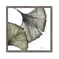 Picture of Ginko Leaves I _GroupedProduct_Square_Framed_Matted_