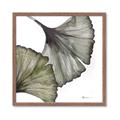 Picture of Ginko Leaves I _GroupedProduct_Square_Framed_Matted_