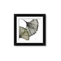 Picture of Ginko Leaves I _GroupedProduct_Square_Framed_Matted_