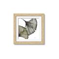 Picture of Ginko Leaves I _GroupedProduct_Square_Framed_Matted_