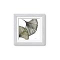 Picture of Ginko Leaves I _GroupedProduct_Square_Framed_Matted_