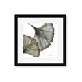 Picture of Ginko Leaves I _GroupedProduct_Square_Framed_Matted_