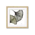 Picture of Ginko Leaves I _GroupedProduct_Square_Framed_Matted_
