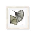 Picture of Ginko Leaves I _GroupedProduct_Square_Framed_Matted_