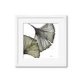 Picture of Ginko Leaves I _GroupedProduct_Square_Framed_Matted_
