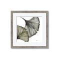 Picture of Ginko Leaves I _GroupedProduct_Square_Framed_Matted_
