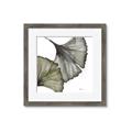 Picture of Ginko Leaves I _GroupedProduct_Square_Framed_Matted_