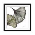 Picture of Ginko Leaves I _GroupedProduct_Square_Framed_Matted_