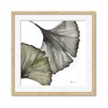 Picture of Ginko Leaves I _GroupedProduct_Square_Framed_Matted_