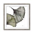 Picture of Ginko Leaves I _GroupedProduct_Square_Framed_Matted_