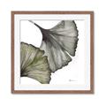 Picture of Ginko Leaves I _GroupedProduct_Square_Framed_Matted_