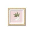 Picture of Plant Shoe Pink _GroupedProduct_Square_Framed_Matted_
