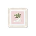 Picture of Plant Shoe Pink _GroupedProduct_Square_Framed_Matted_