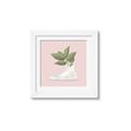 Picture of Plant Shoe Pink _GroupedProduct_Square_Framed_Matted_