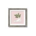 Picture of Plant Shoe Pink _GroupedProduct_Square_Framed_Matted_