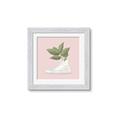 Picture of Plant Shoe Pink _GroupedProduct_Square_Framed_Matted_