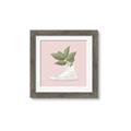 Picture of Plant Shoe Pink _GroupedProduct_Square_Framed_Matted_
