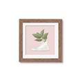 Picture of Plant Shoe Pink _GroupedProduct_Square_Framed_Matted_