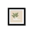 Picture of Plant Shoe Beige _GroupedProduct_Square_Framed_Matted_