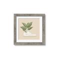 Picture of Plant Shoe Beige _GroupedProduct_Square_Framed_Matted_