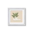 Picture of Plant Shoe Beige _GroupedProduct_Square_Framed_Matted_