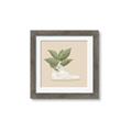 Picture of Plant Shoe Beige _GroupedProduct_Square_Framed_Matted_