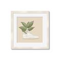 Picture of Plant Shoe Beige _GroupedProduct_Square_Framed_Matted_