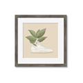 Picture of Plant Shoe Beige _GroupedProduct_Square_Framed_Matted_