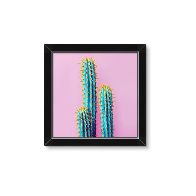 Picture of Neon Cactus _GroupedProduct_Square_Photography _GroupedProduct_Square_Framed_Matted_