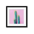 Picture of Neon Cactus _GroupedProduct_Square_Photography _GroupedProduct_Square_Framed_Matted_