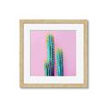 Picture of Neon Cactus _GroupedProduct_Square_Photography _GroupedProduct_Square_Framed_Matted_