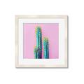 Picture of Neon Cactus _GroupedProduct_Square_Photography _GroupedProduct_Square_Framed_Matted_