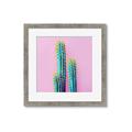 Picture of Neon Cactus _GroupedProduct_Square_Photography _GroupedProduct_Square_Framed_Matted_