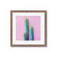 Picture of Neon Cactus _GroupedProduct_Square_Photography _GroupedProduct_Square_Framed_Matted_