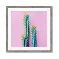 Picture of Neon Cactus _GroupedProduct_Square_Photography _GroupedProduct_Square_Framed_Matted_