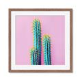 Picture of Neon Cactus _GroupedProduct_Square_Photography _GroupedProduct_Square_Framed_Matted_