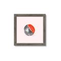 Picture of Watermelon Disco Ball  _GroupedProduct_Square_Framed_Matted_