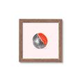 Picture of Watermelon Disco Ball  _GroupedProduct_Square_Framed_Matted_