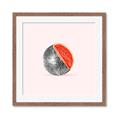 Picture of Watermelon Disco Ball  _GroupedProduct_Square_Framed_Matted_