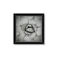 Picture of Eye of the Succulent _GroupedProduct_Square_Photography _GroupedProduct_Square_Framed_Matted_