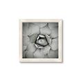 Picture of Eye of the Succulent _GroupedProduct_Square_Photography _GroupedProduct_Square_Framed_Matted_