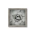 Picture of Eye of the Succulent _GroupedProduct_Square_Photography _GroupedProduct_Square_Framed_Matted_