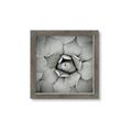 Picture of Eye of the Succulent _GroupedProduct_Square_Photography _GroupedProduct_Square_Framed_Matted_