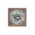 Picture of Eye of the Succulent _GroupedProduct_Square_Photography _GroupedProduct_Square_Framed_Matted_